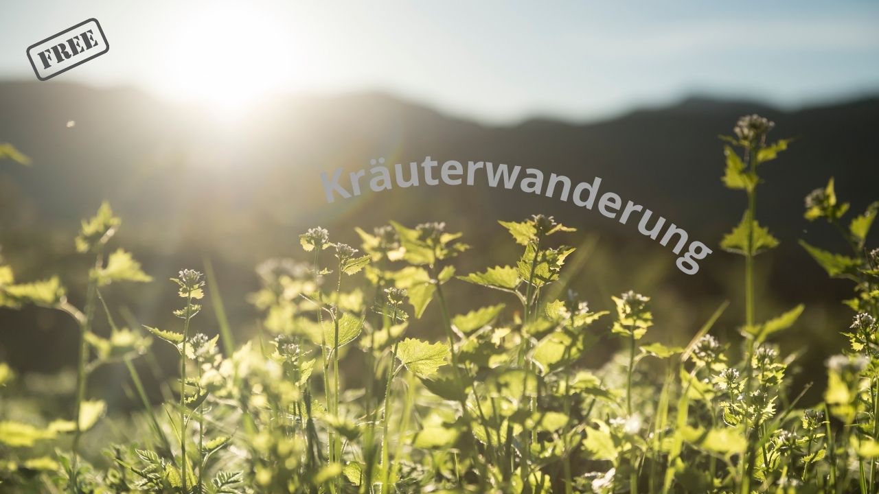 Kräuterspaziergang