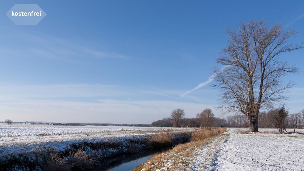 Neujahrswanderung durch die Wartenberger Feldmark