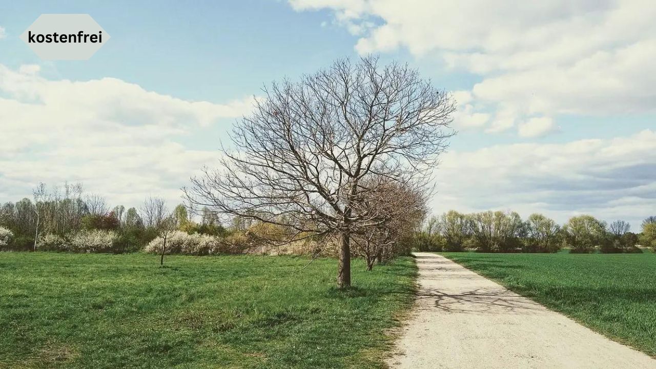 Spaziergang Pankow