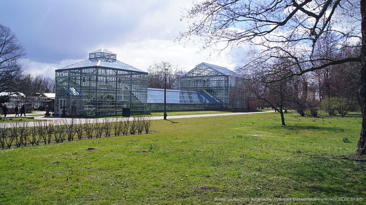 Volkspark Blankenfelde-Pankow