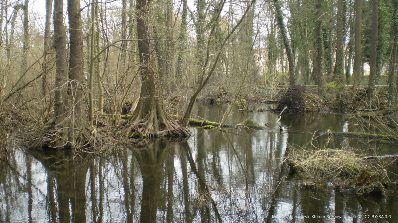 Kleiner Spreewald Park in Schöneiche Berlin