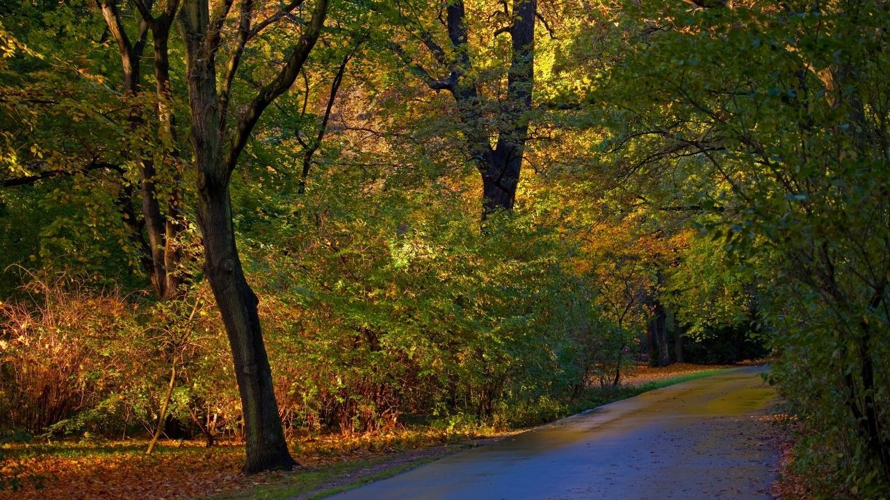 Tiergarten Berlin