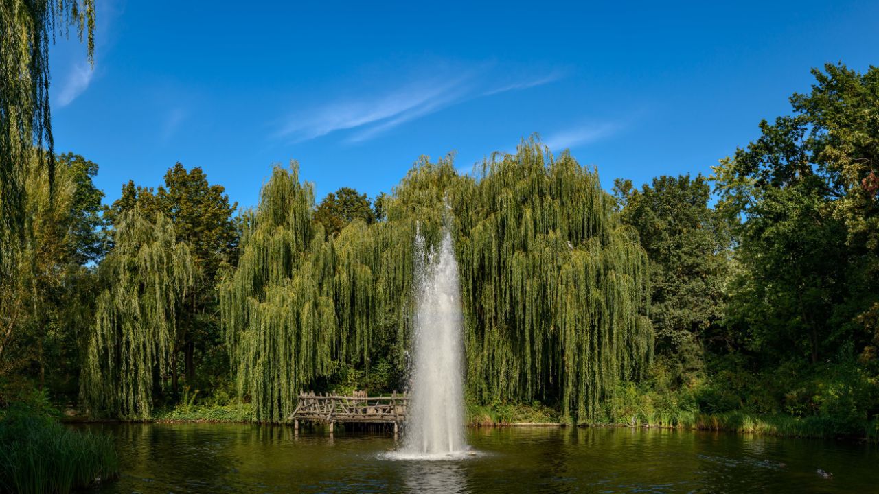 Erlebnispfad im Volkspark Friedrichshain Berlin