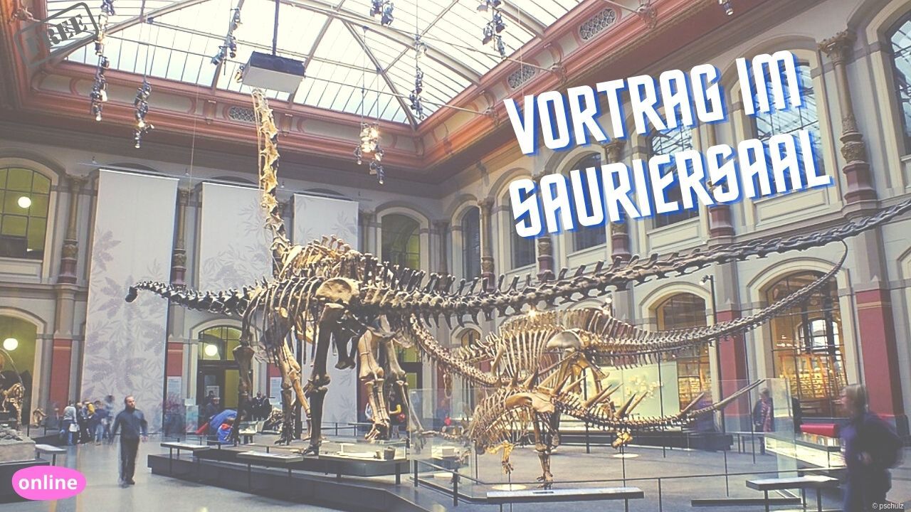 Vortrag - Sauriersaal Naturkundemuseum