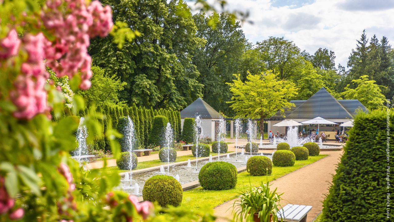 Ostdeutscher Rosengarten in Lausitz