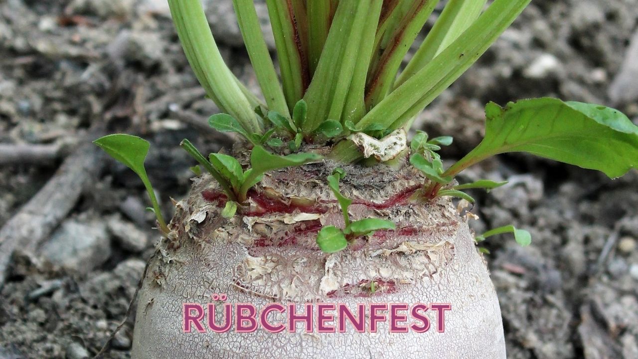 Ausflug mit Kindern zum Rübchenfest.