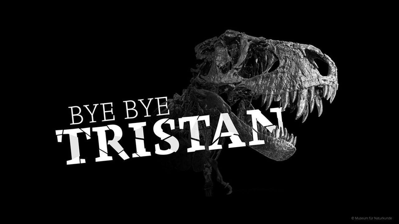 TRISTAN OTTO, one of the best preserved T. rex skeletons in the world, is leaving the Museum of Natural History in Berlin.